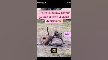 Smart vs Dumb decision #viral #shorts #short #trending #youtubeshorts #viralvideo #shortvideo #funny
