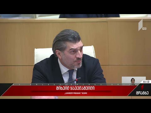 პოლიტიკური განცხადებები პარლამენტში