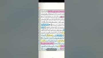 تثبيت وتربيط الربع الثانى من سورة العنكبوت[ من ٢٦ إلى ٤٥ ]