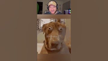 WHAT JUST HAPPENED #callofdutymobile #codm #codmobile