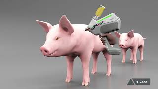 FreVAX, intramuscular needle free device for pigs. Mode of action.