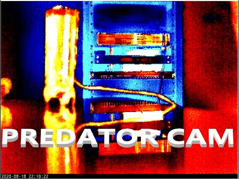 Predator Cam