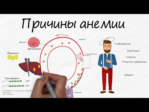 Видео: 3 начина за лечение на анемия