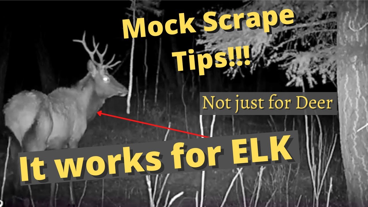 How to set up a mock scrape - YouTube