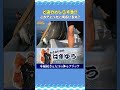 まるでしらすのプールだ!!