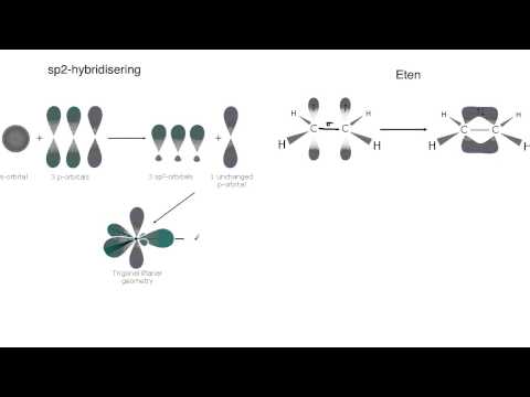 Video: Skillnaden Mellan In Situ-hybridisering Och Immunhistokemi