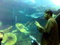 dubai aquarium2