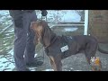 Bloodhound Hero: Police Dog Saving Lives One Sniff At A Time