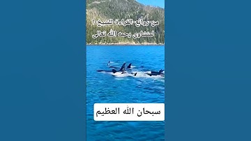 من روائع-القراءة للشيخ-محمد صديق المنشاوي #المصحف #تلاوات_خاشعة #تلاوات_مؤثرة #بصوت مريح جميل جدا