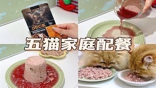 五猫家庭配餐｜胆大了…开始自己做罐头了… by Gu Xiaopang in the kitchen 99 views 3 weeks ago 2 minutes, 42 seconds