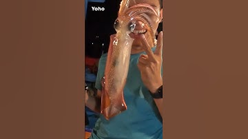 Ra Khơi Câu Mực Đêm Biển Đà Nẵng Cùng Người Đẹp #shorts