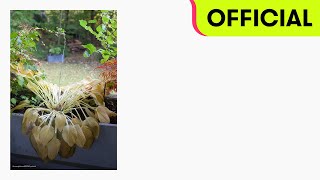 Watch Hyukoh Silverhair Express video