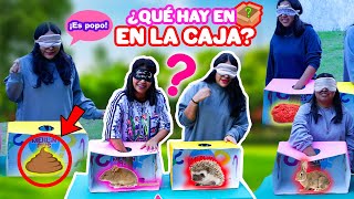 ¿QUÉ HAY EN LA CAJA MISTERIOSA? 📦 ¿POPO DE OSO? 💩 Tocamos Cosas Asquerosas 🤮 | Conny Merlin