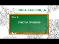 Уход за прививкой. ШКОЛА САДОВОДА. Урок 6