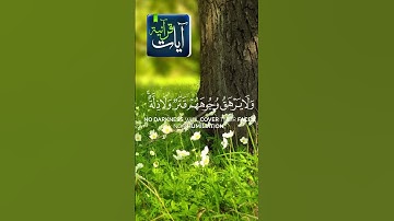 للذين أحسنوا الحسنى وزيادة سورة سورة يونس للشيخ أحمد النفيس