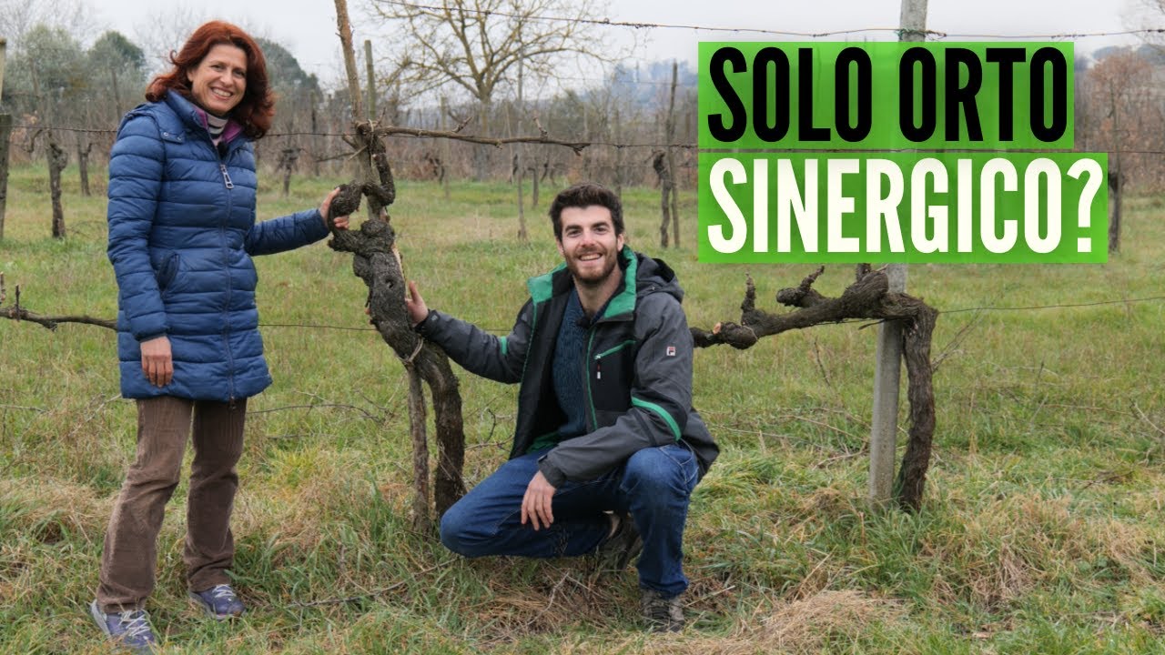 La PERMACULTURA, che cos'è? come si applica?  insieme a 