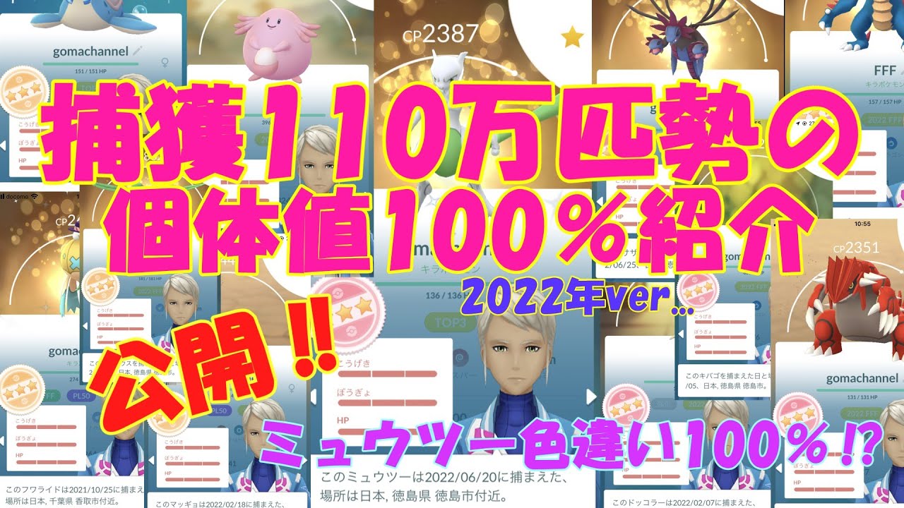 捕獲110万匹勢の個体値100％公開(2022ver.) - YouTube