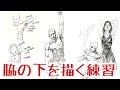 【脇の下の描き方】筋肉の勉強を添えて。