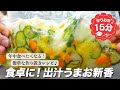 『年中食べたくなる!』出汁うまお新香の作り方。お漬物といったらこれです!