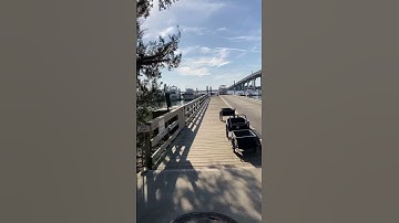 Jekyll harbor marina