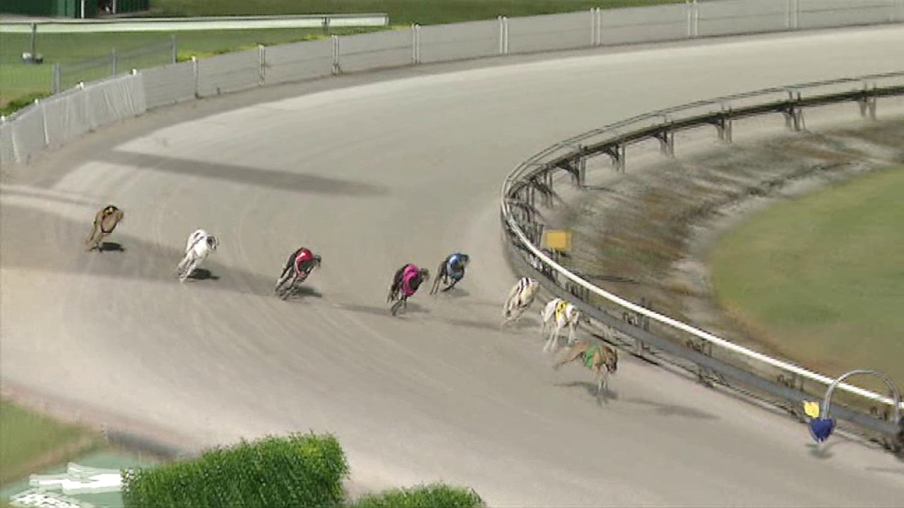 AlbionPark23042017Race9 YouTube