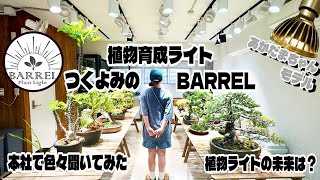 Plants] Have you heard of the Tsukuyomi LED plant growth light