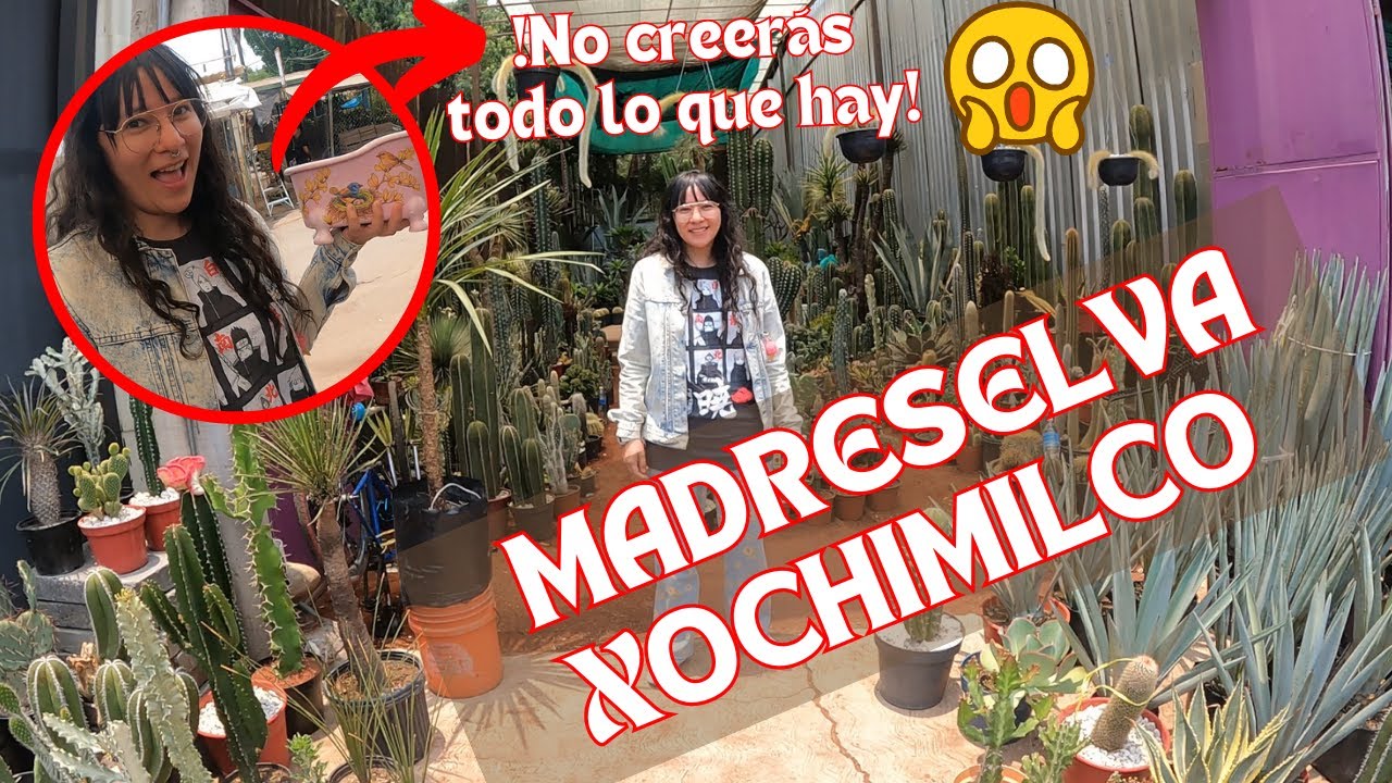 Mercado de plantas Madreselva Xochimilco: entre flores 🌹comida.. y otras cosas que no creerás!😲|4K