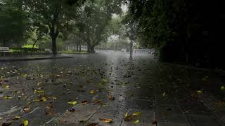 Help You Sleep Better  With Heavy Autumn Rain And Loud Thunder Sounds On Quiet Street | Relaxation