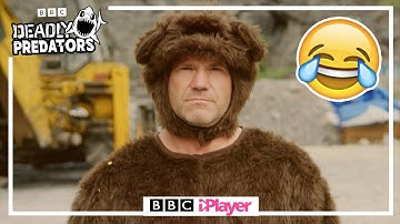 STEVE BACKSHALL is a BEAR? 🐻 | HILARIOUS experiment! 😂 | CBBC