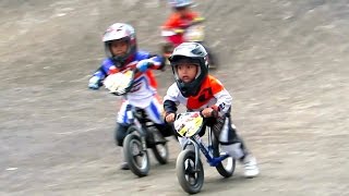 ANAK KECIL BALAP SEPEDA BMX LUCU - Jogjakarta Bike Racing, Youth Center Circuit  (BMX INDONESIA)