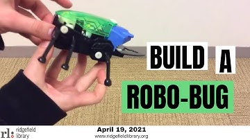 Build a Robo-Bug