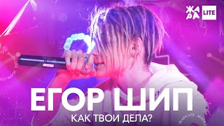 Егор Шип - Как твои дела /// ЖАРА LITE