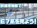 鉄道博物館でE7系新幹線を見よう!with まえちゃん&がっちゃん