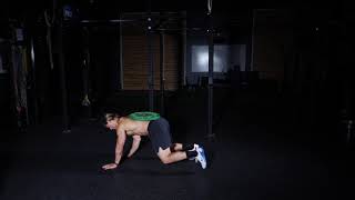 Plate Loaded Reverse Quadruped Crawl