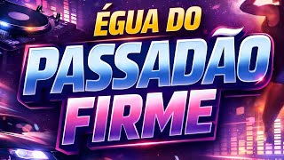 ÉGUA DO PASSADÃO FIRME SEM VINHETAS