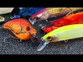 Top 5 Baits For March Bass Fishing!