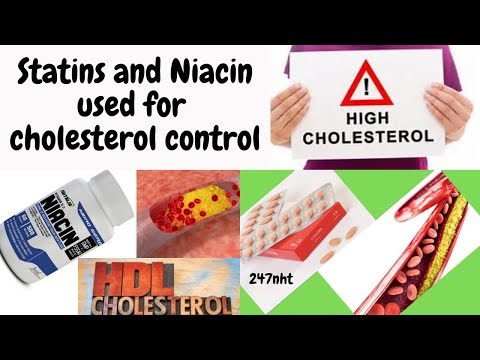Statins and Niacin used for cholesterol control | 247nht
