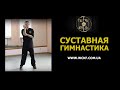 Суставная гимнастика Вин Чун Кунг Фу