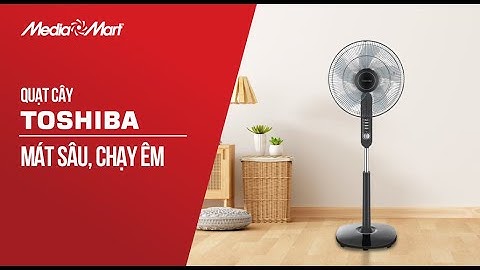 Quạt cây Toshiba: Mát sâu, chạy êm (F-LSA10(K)VN) - Điện máy MediaMart