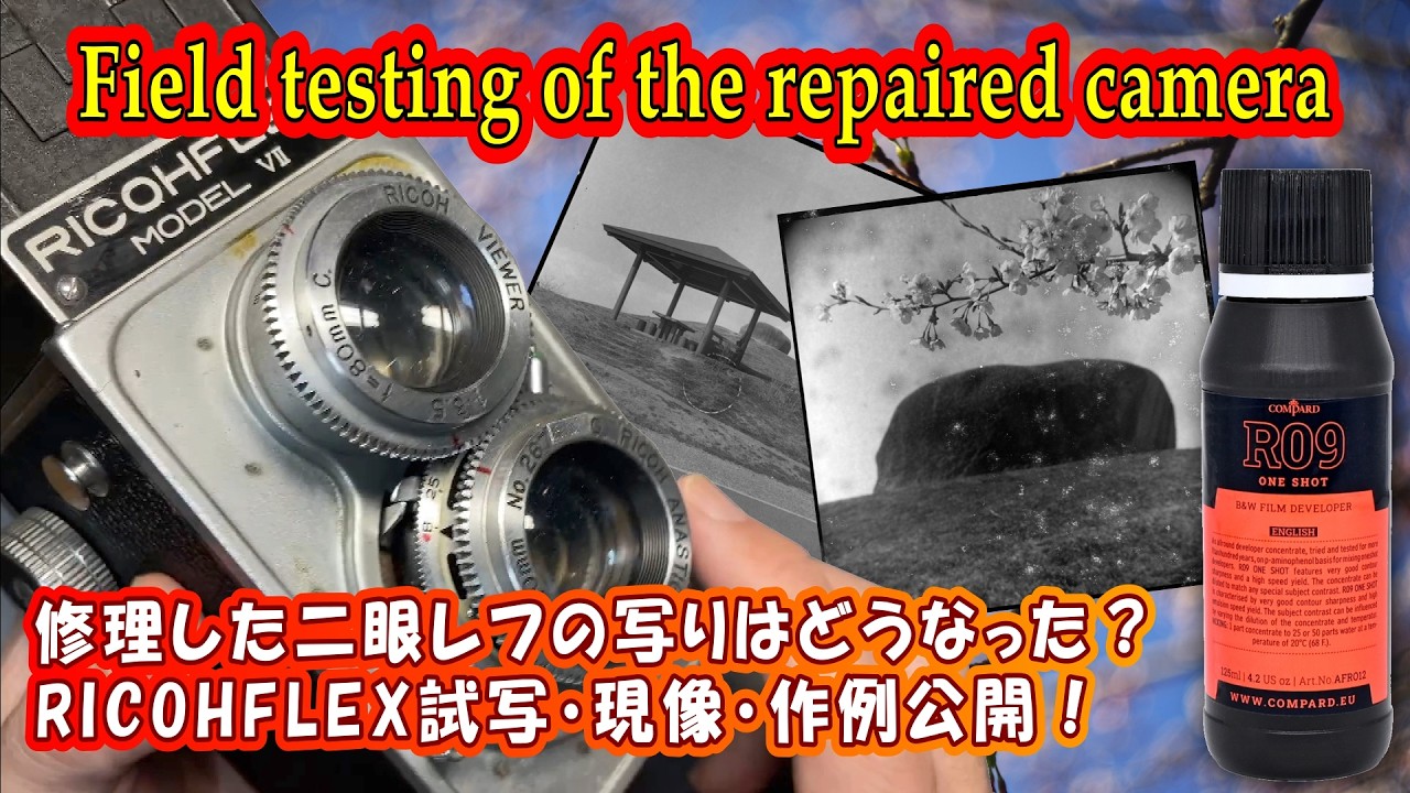 試写さんぽ】RICOHFLEX MODEL Ⅶ |ワンコインで買った72歳の二眼レフで