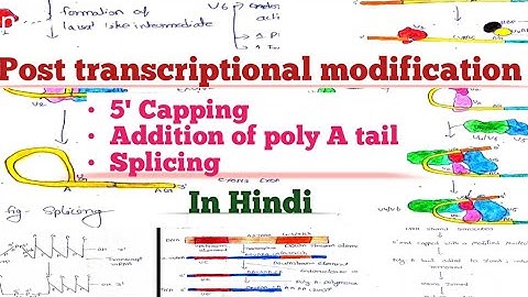 Splicing | Self splicing | Trans splicing | Alternative splicing | Exon shuffling | m Rna Editing