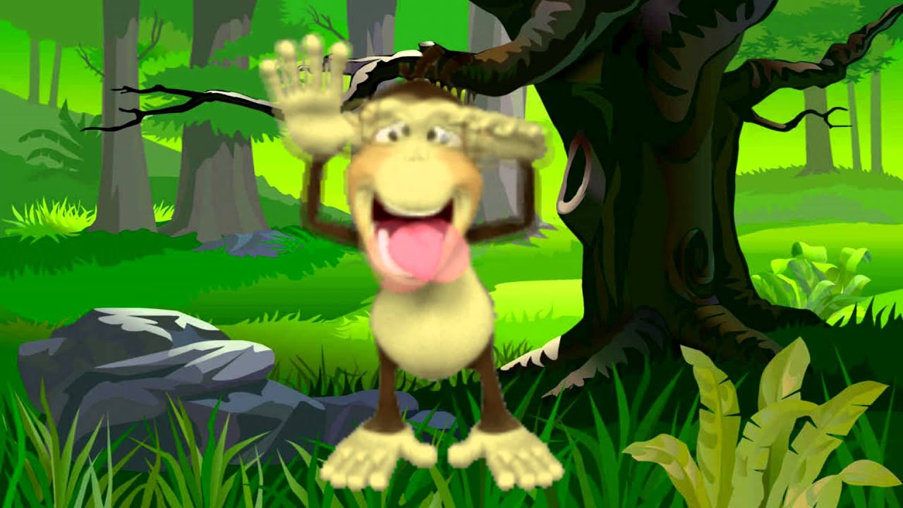 sonido del mono, Monkey Sounds,chillan o maullan,Sonidos de la Selva