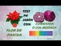 TEST PH JABÓN CON COL MORADA Y FLOR DE PASCUA