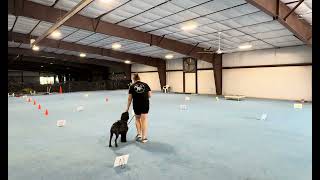 AKC Rally Novice course #4