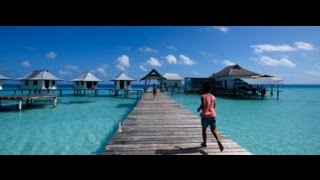 Download Slice Of Life In The Islands Of Tahiti Video MP3 Slice Of Life In The Islands Of Tahiti