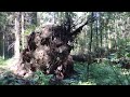 Отшельница больше 10 лет живет в лесу
