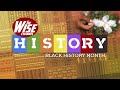 Slavery classroom and family friendly  black history