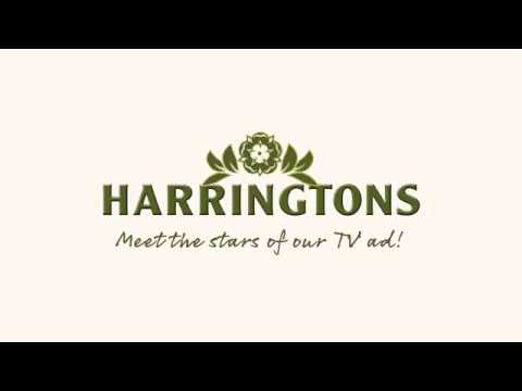 harringtons lamb and rice