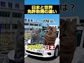 【猫ミーム】日本と海外 免許取得の違い #2ch #ゆっくり実況 #猫ミーム #海外移住 #あるある #違い #海外 #catmemes