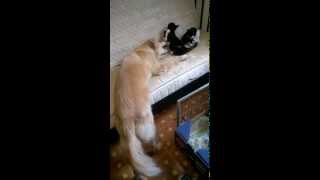 WP 20140626 007
